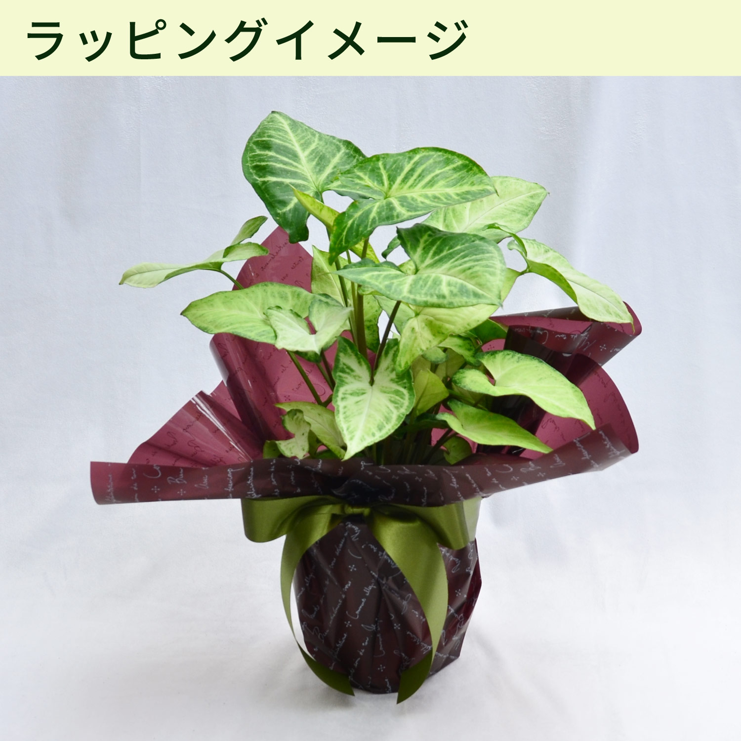 ラッピングイメージ