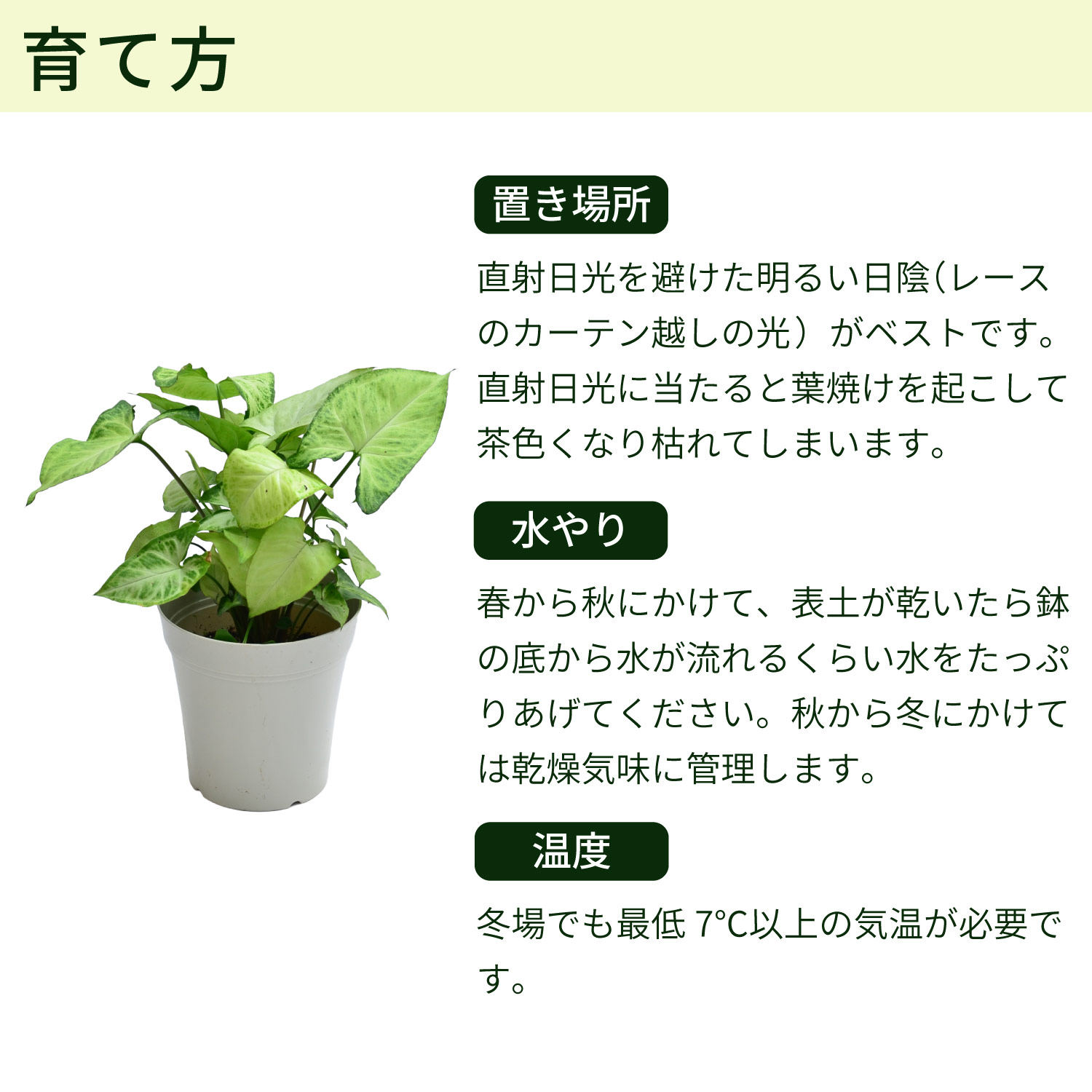 育て方"
