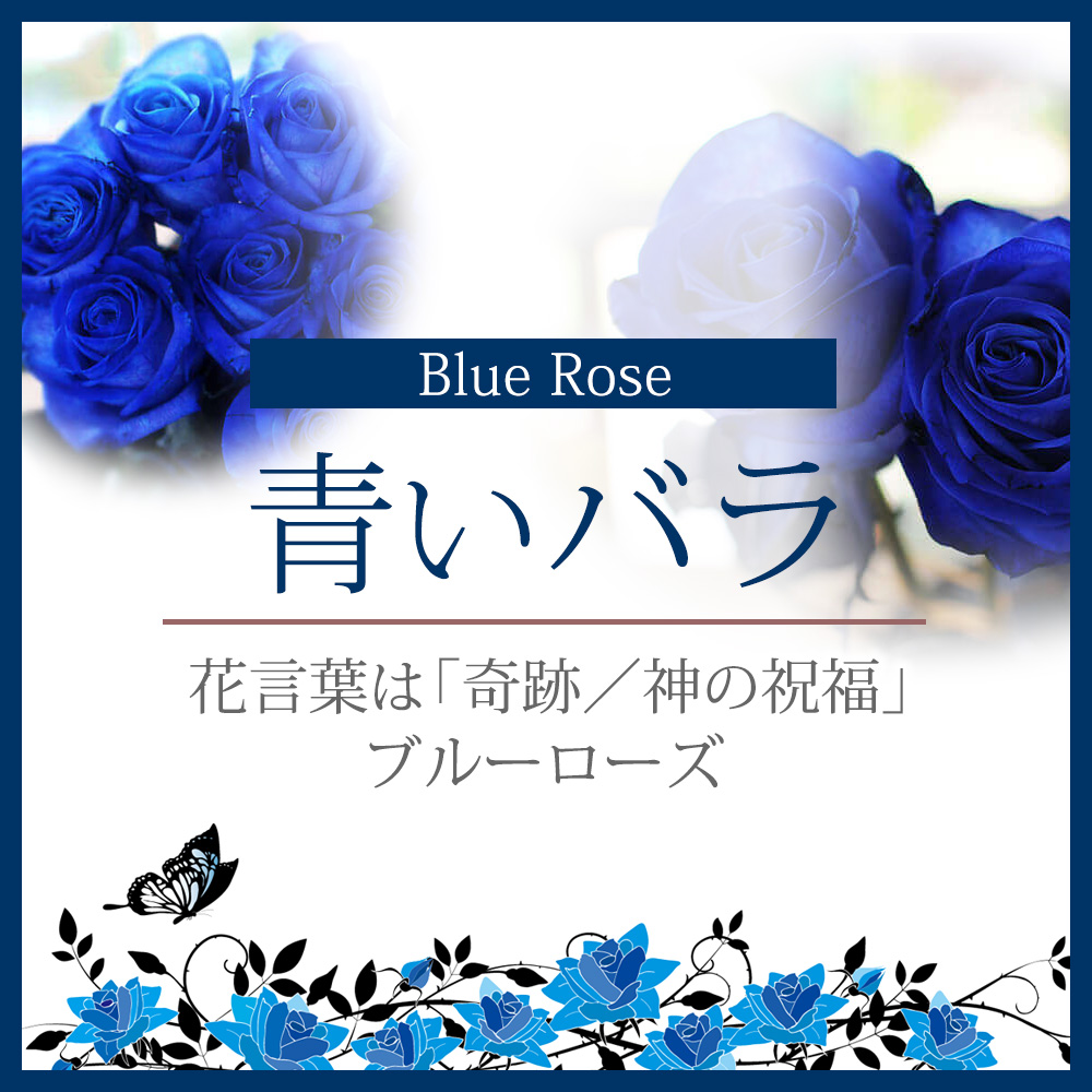 青いバラ
