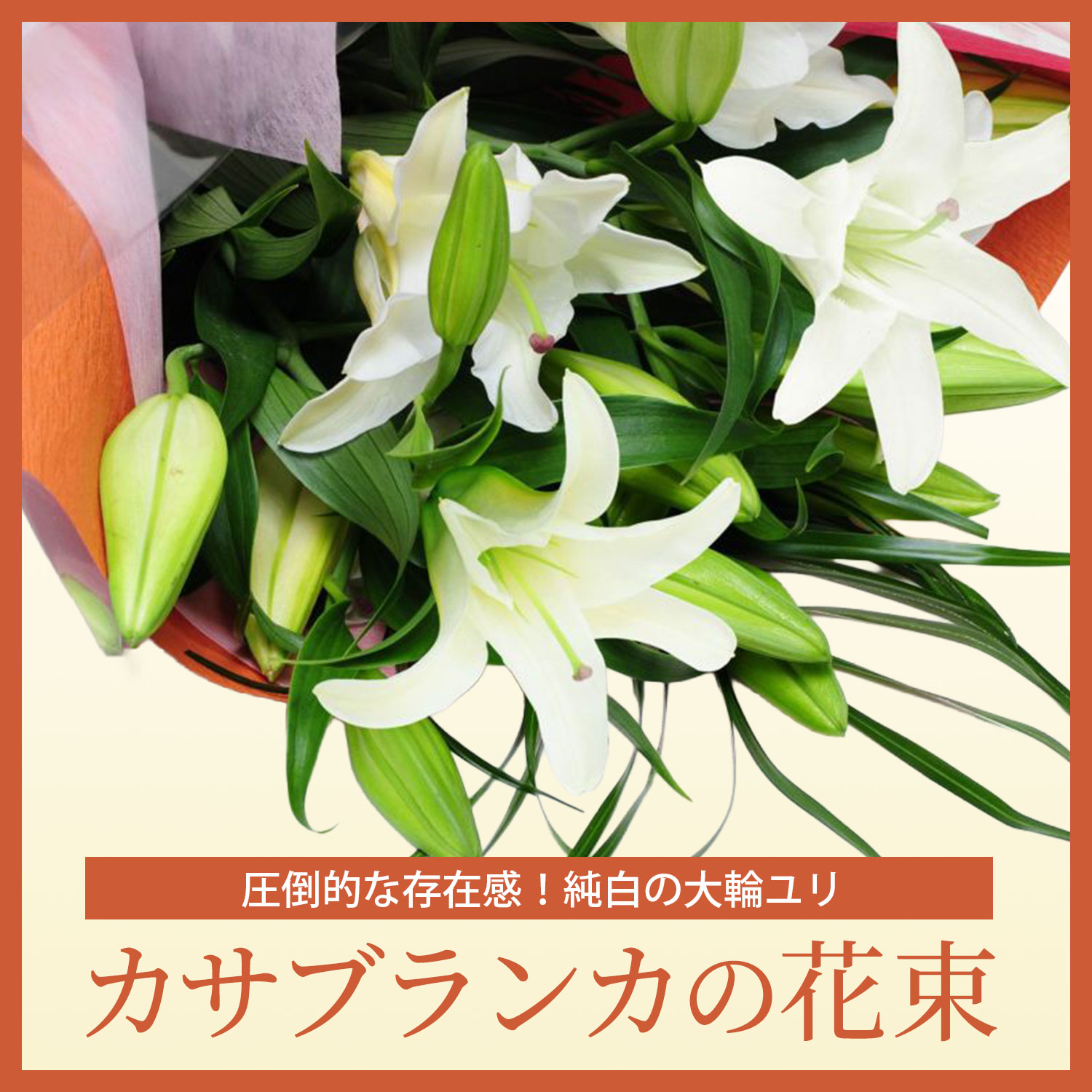 カサブサンカ