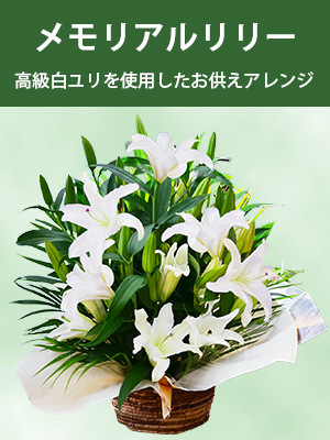 メモリアルリリー