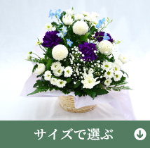 サイズで選ぶ