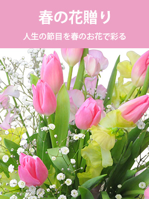 春の花贈り