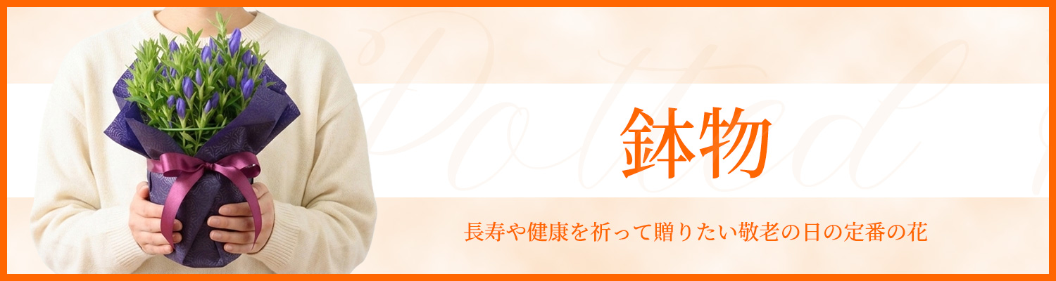 鉢物