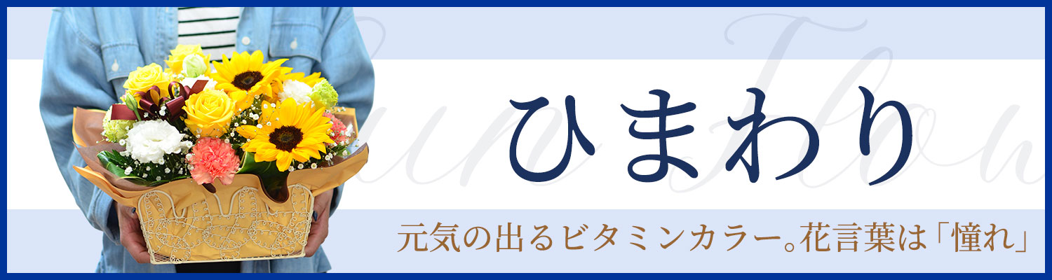 ひまわり