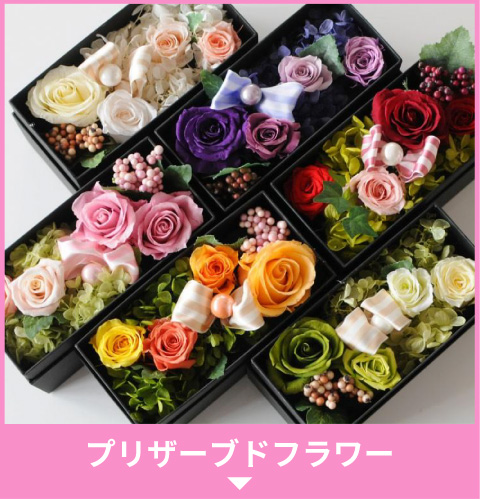 プリザーブドフラワー