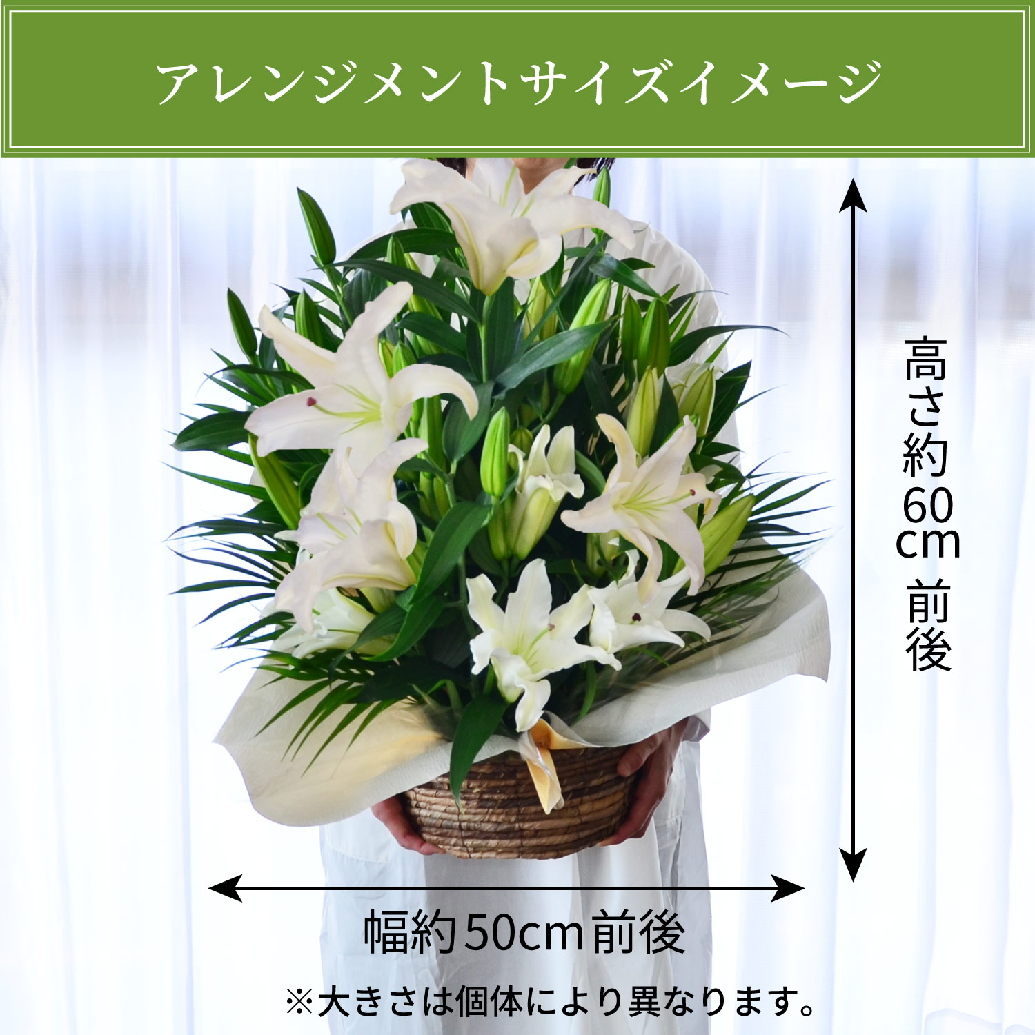 サイズイメージ