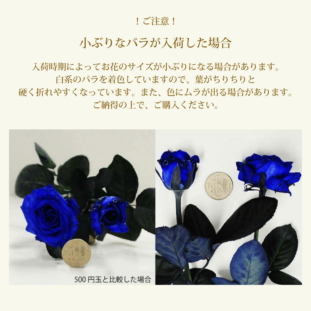 青いバラ ブルーローズ100本の花束 | 花工房エーデルワイス