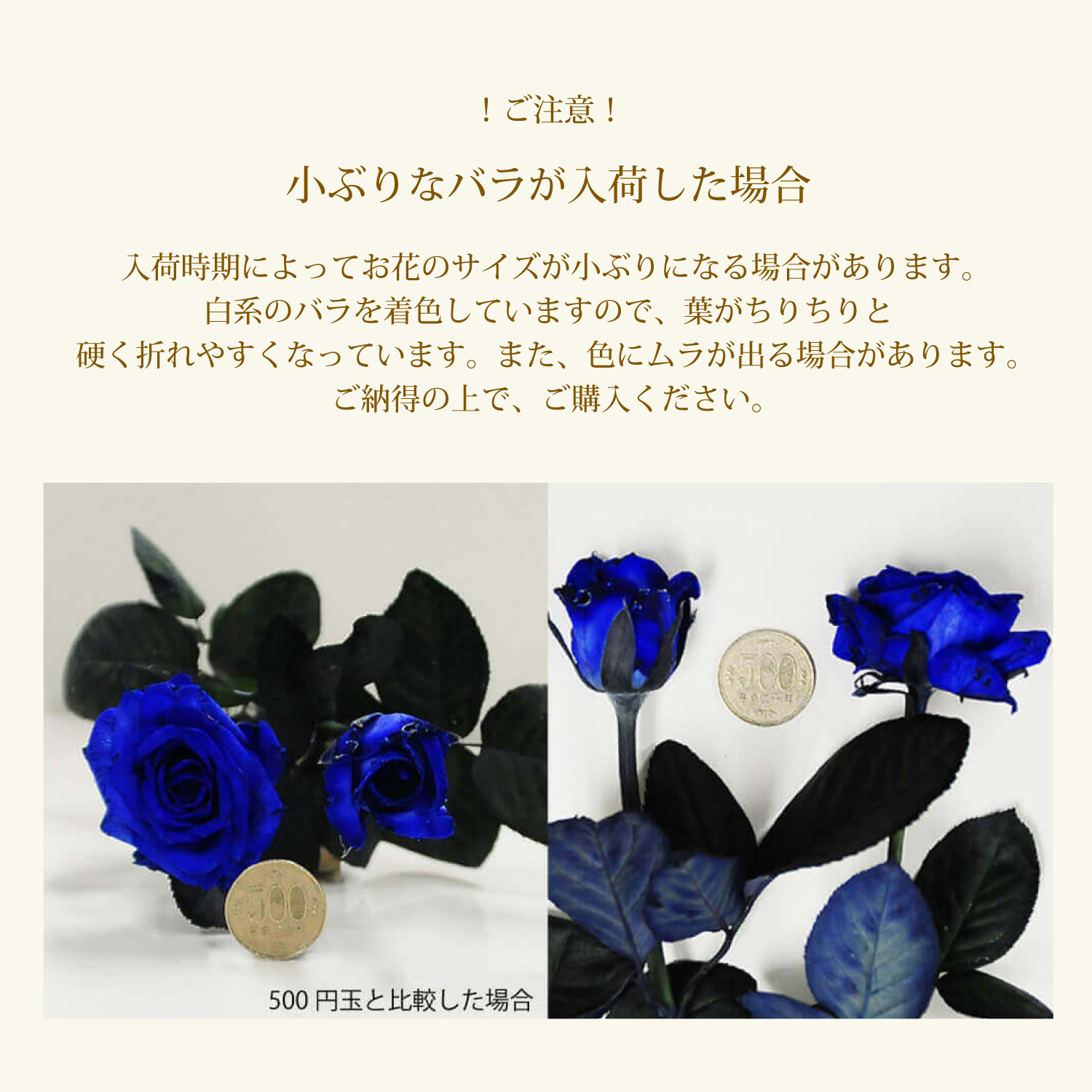 青バラ30本の花束