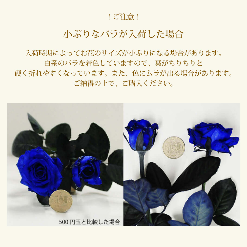 青いバラ ブルーローズ40本の花束 | 花工房エーデルワイス