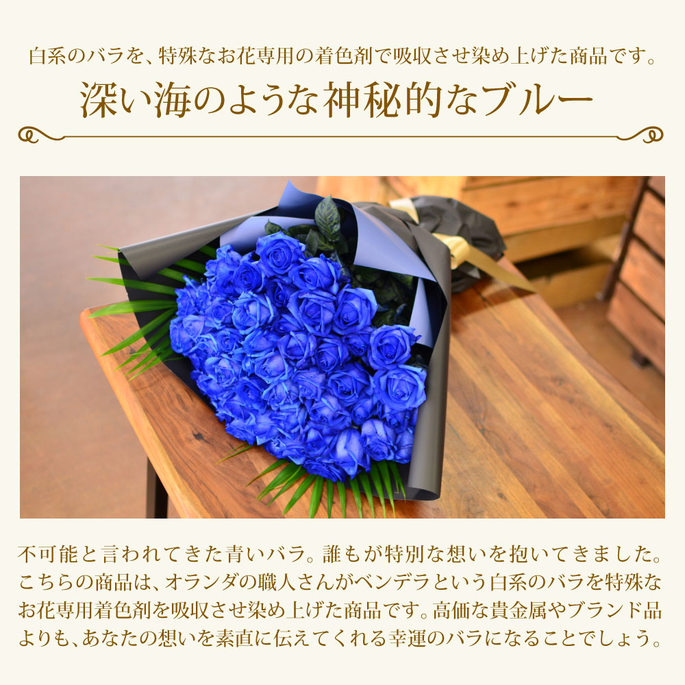 青バラ50本の花束