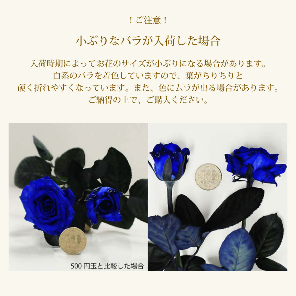 青いバラ ブルーローズ50本の花束 | 花工房エーデルワイス