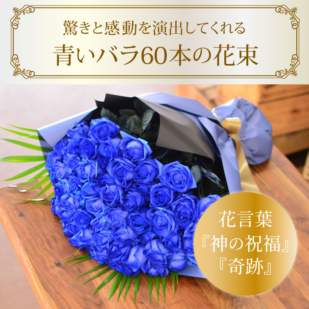 青バラ60本の花束