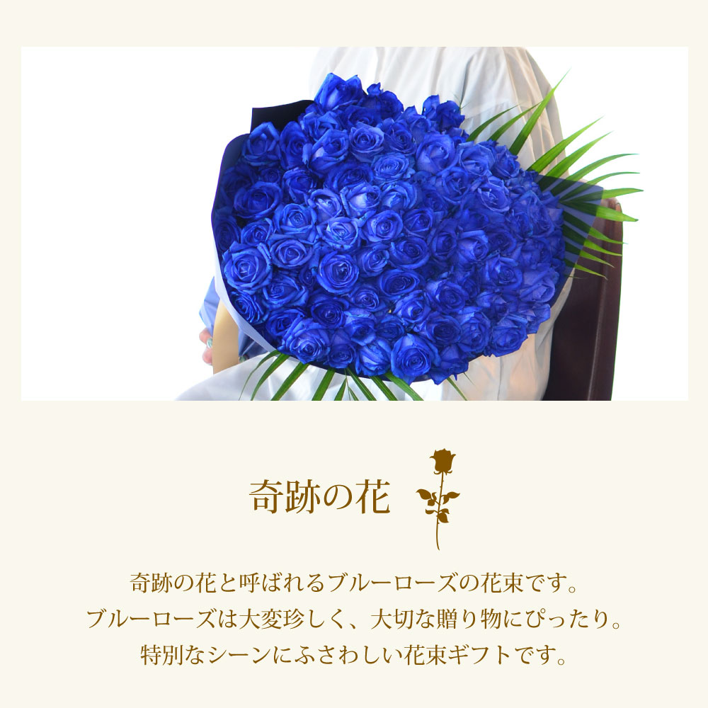 青バラ80本の花束