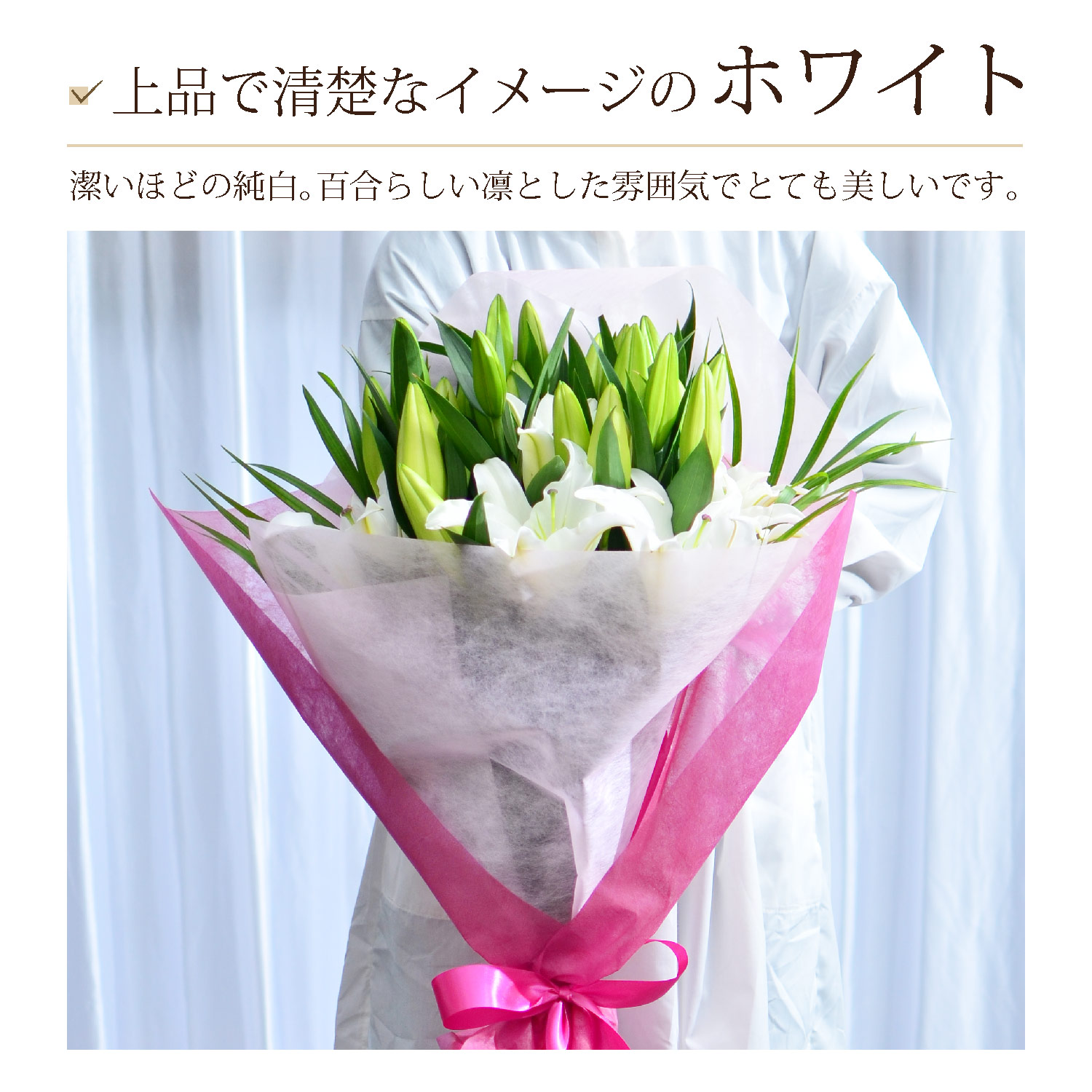 上品で清楚なイメージのホワイト