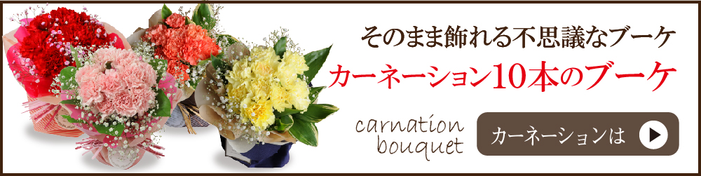 カーネーション