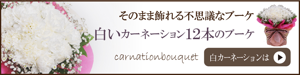 白いカーネーション