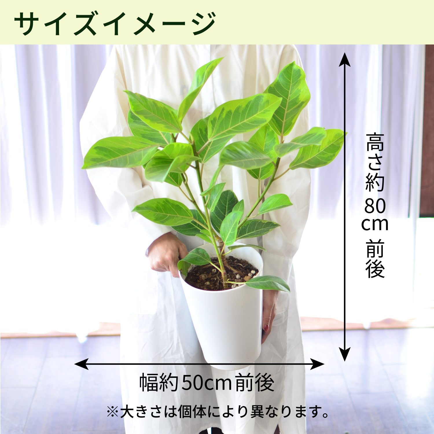 サイズイメージ