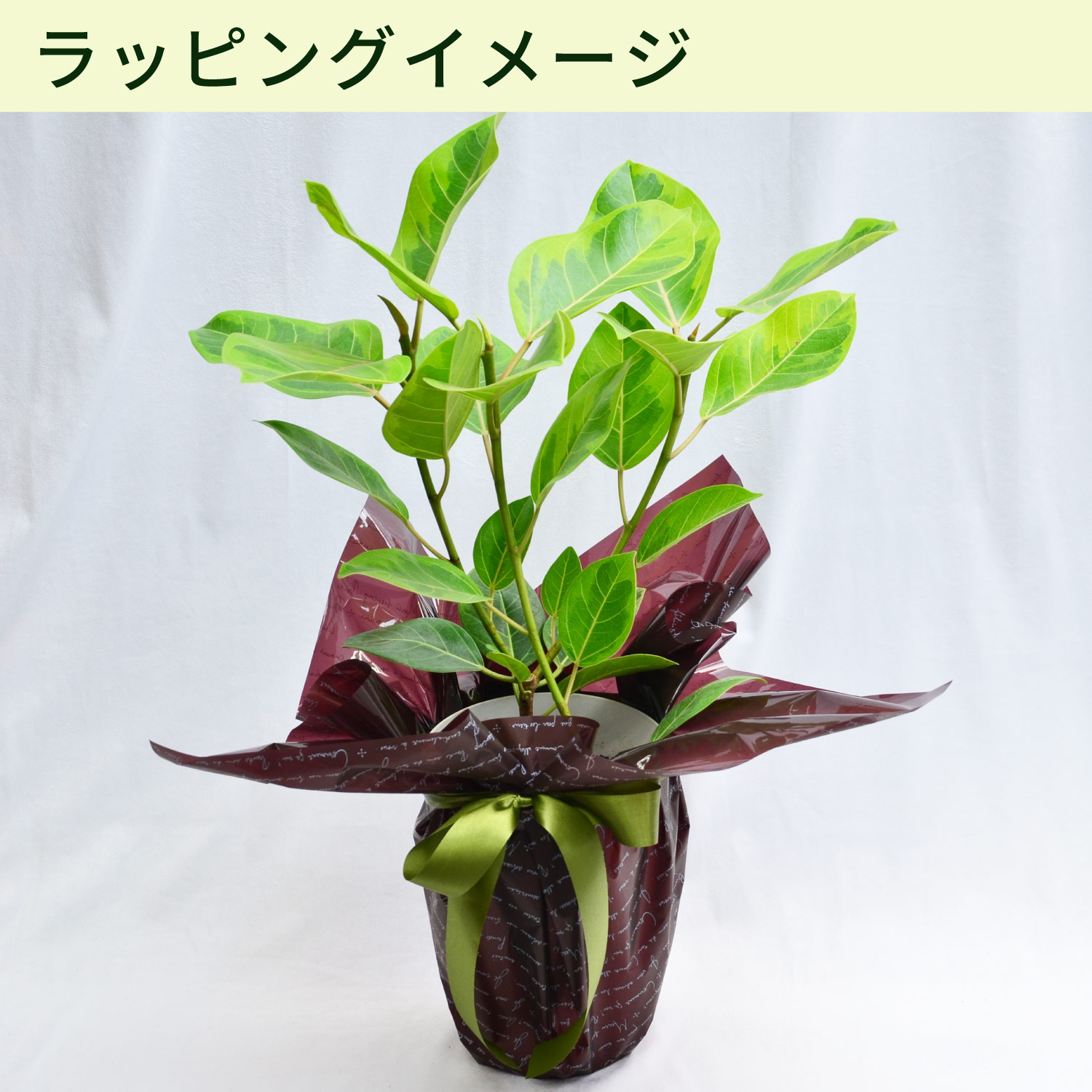 ラッピングイメージ