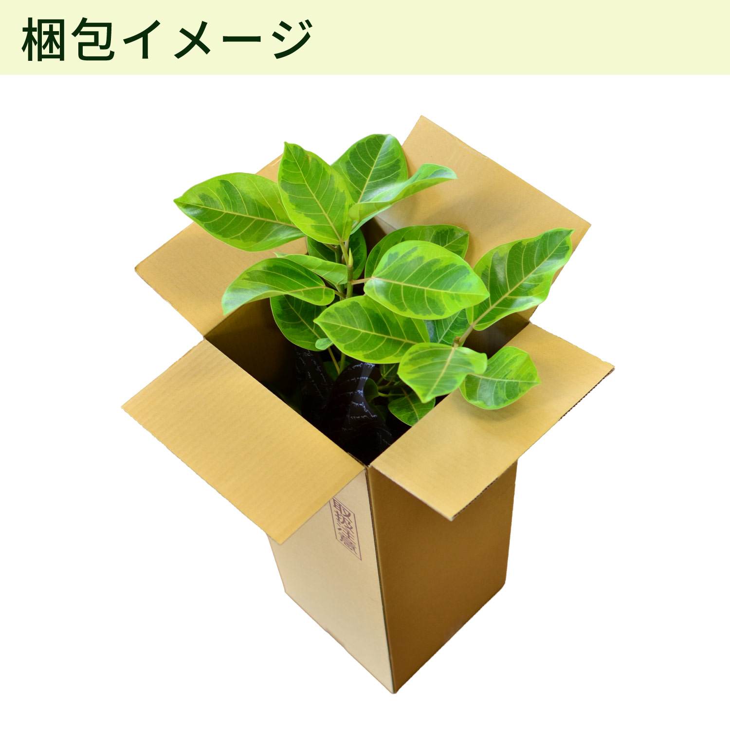 梱包イメージ