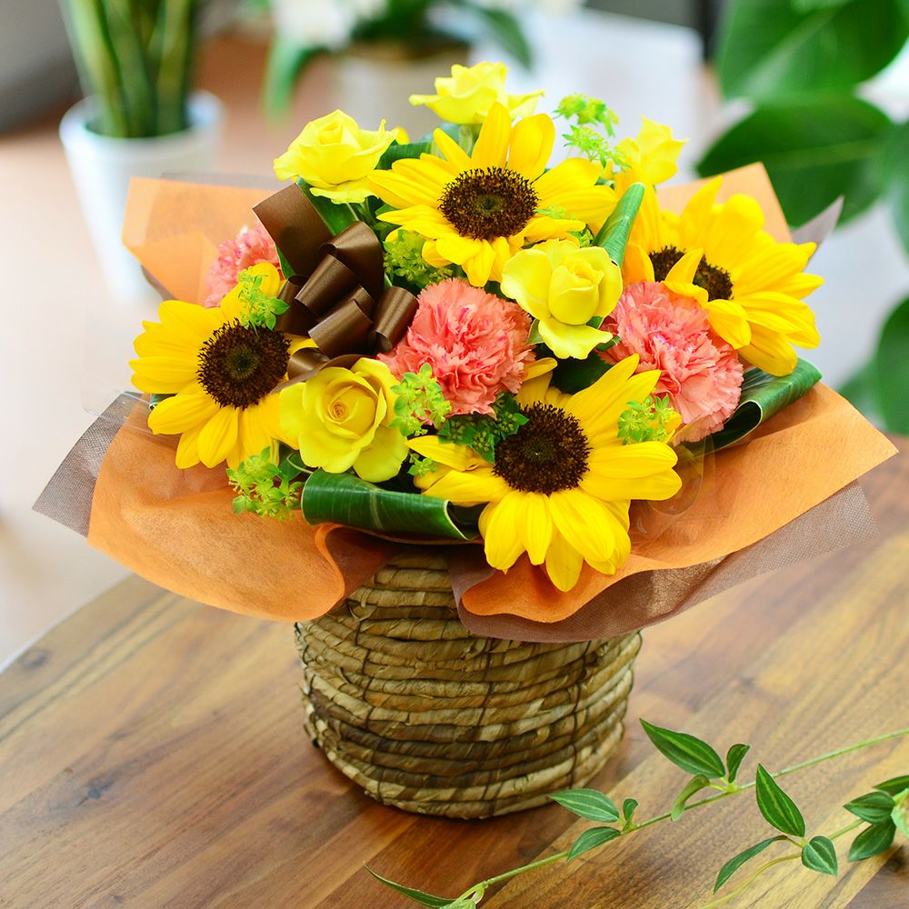 �t�����[�A�����W�����g �T�}�[�V�[�Y�� M�T�C�Y