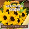 ひまわり　本数指定