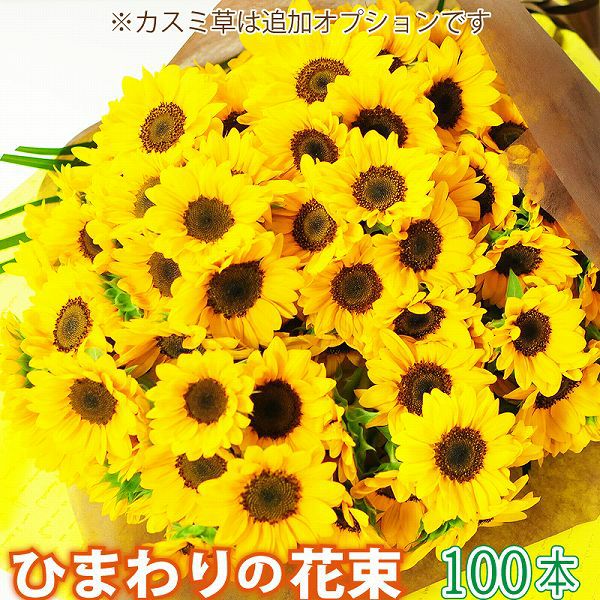 �Ђ܂��̉ԑ� 100�{