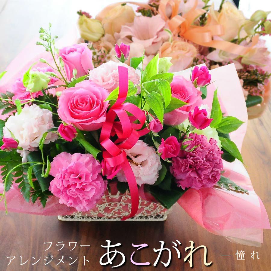 �t�����[�A�����W�����g ����