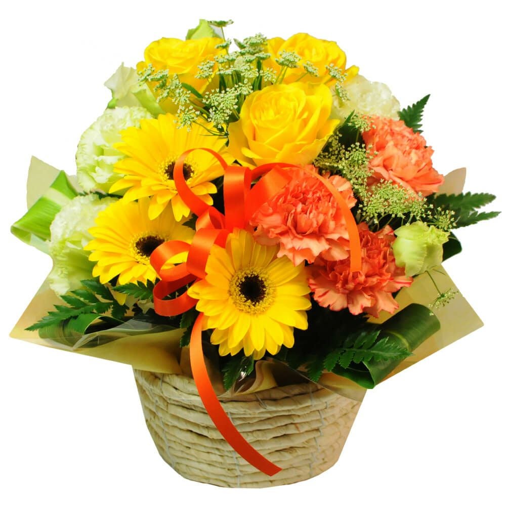 �t�����[�A�����W�����g �A���X�C�G���[