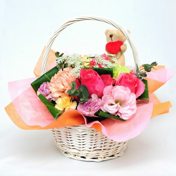 �A�j�}���I�[�i�����g�A�����W�����g L�T�C�Y