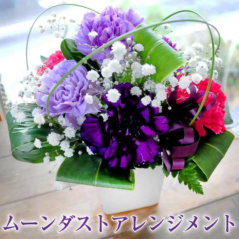 ���[���_�X�g�A�����W�����g