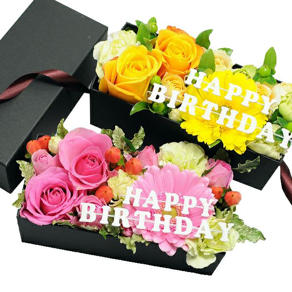 �t�����[�A�����W�����g ���[�Y�{�b�N�X M�T�C�Y
