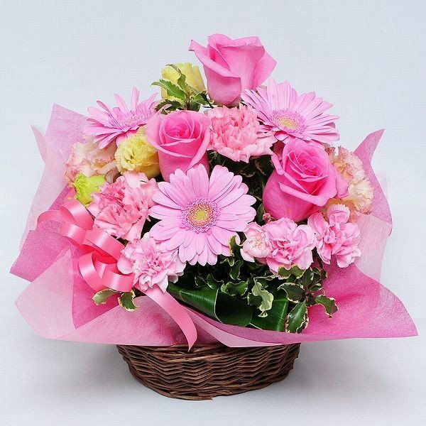�t�����[�A�����W�����g �I�����[�s���NM�T�C�Y