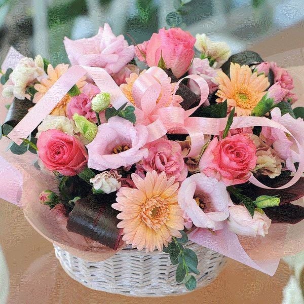 �I�����[�s���N�A�����W�����g L�T�C�Y