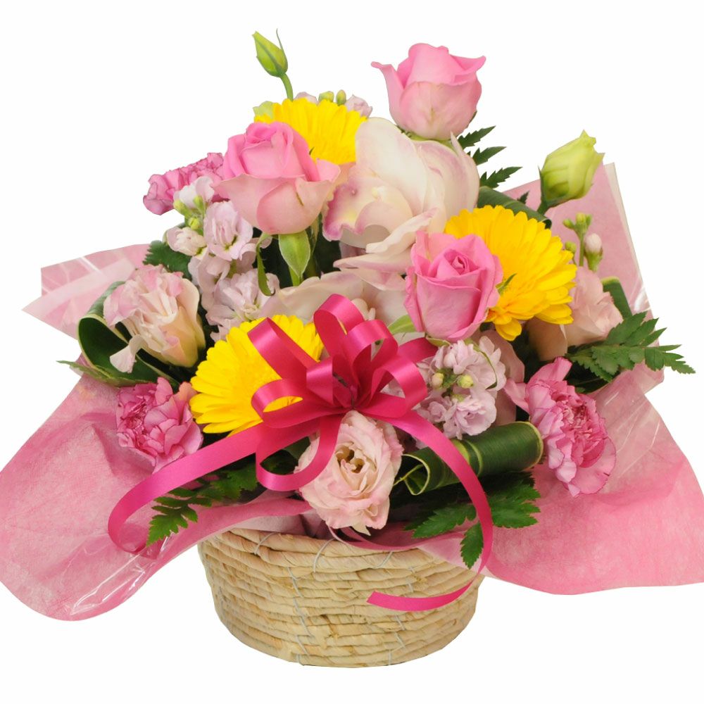�A�����W�����g �s���N�X�^�[