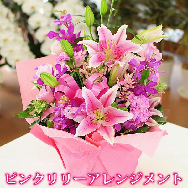 000000000055-01.jpg?size=l&w= 000000000055-01.jpg?size=l&w=