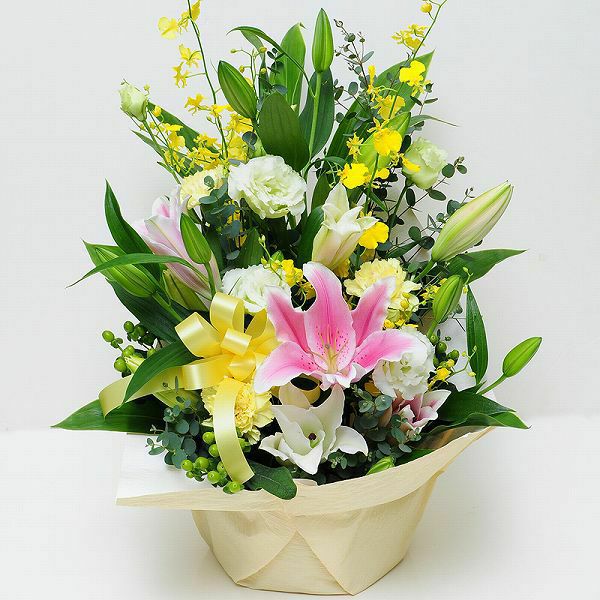 �t�����[�A�����W�����g �s���N&�z���C�g�����[