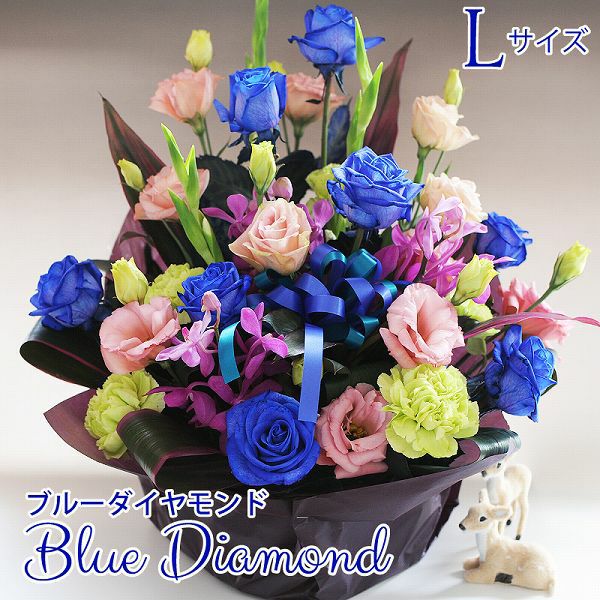 �t�����[�A�����W�����g �u���[�_�C�������h L�T�C�Y