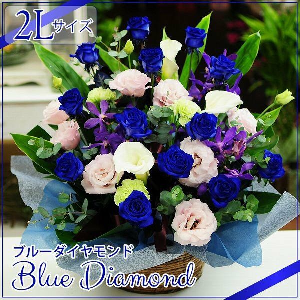 �t�����[�A�����W�����g �u���[�_�C�������h 2L�T�C�Y