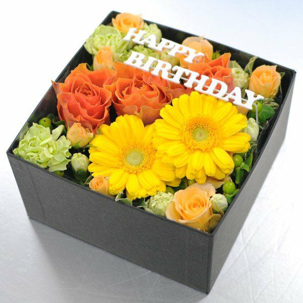 �t�����[�A�����W�����g ���[�Y�{�b�N�X L�T�C�Y