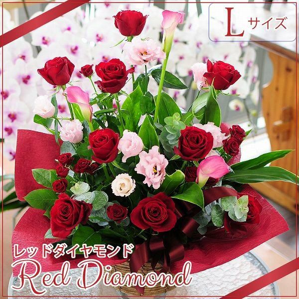 �t�����[�A�����W�����g ���b�h�_�C�������h L�T�C�Y