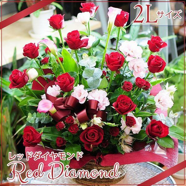 �t�����[�A�����W�����g ���b�h�_�C�������h 2L�T�C�Y