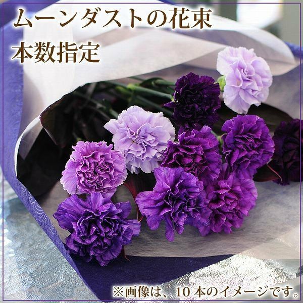 本数指定 青いカーネーション ムーンダストの花束 | 花工房エーデルワイス