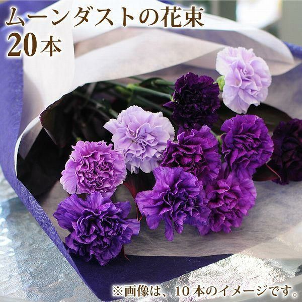ムーンダスト20本の花束