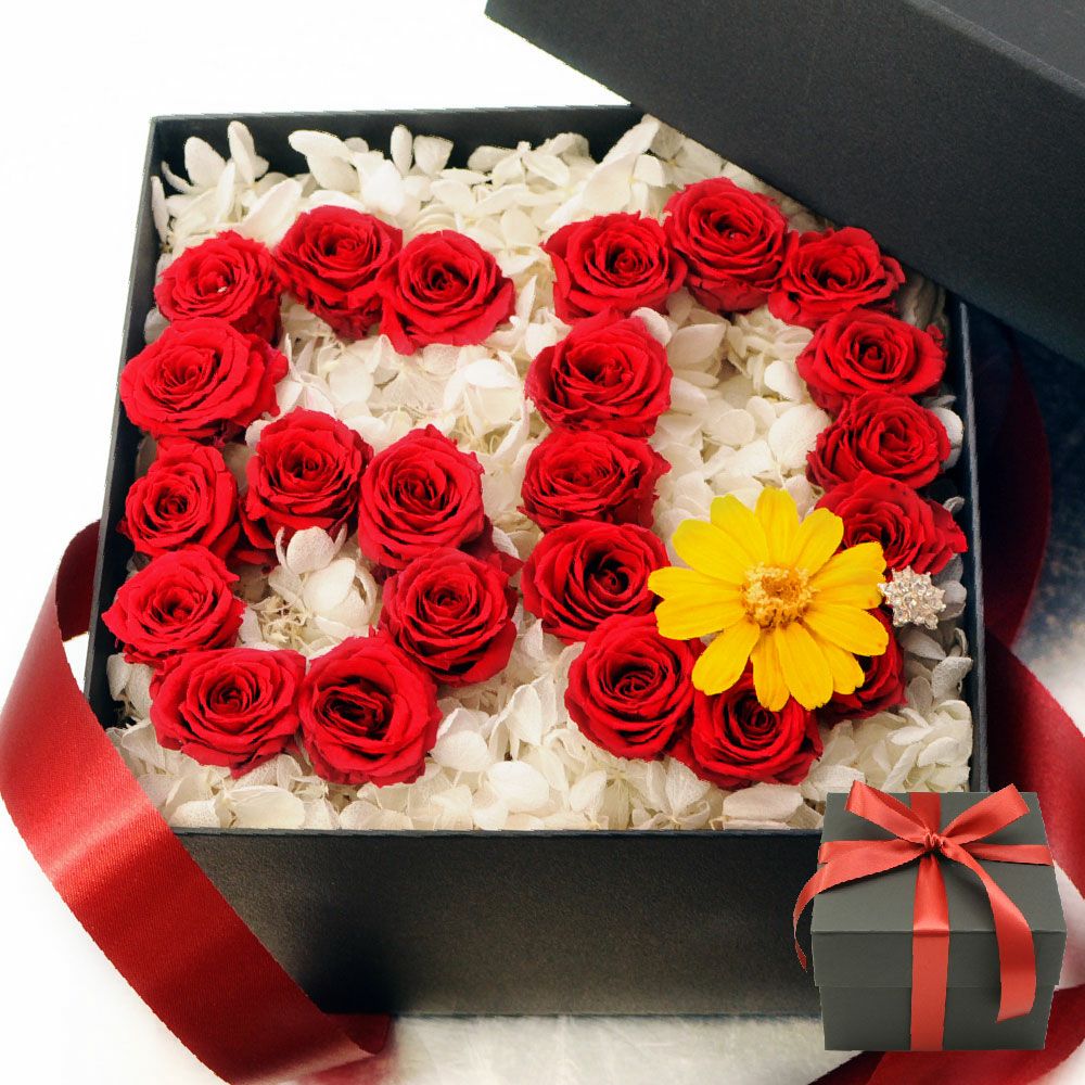 �v���U�[�u�h�t�����[�{�b�N�X�A�����W�����g�A�j�o�[�T���[
