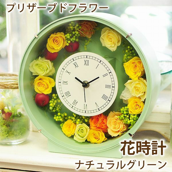 �v���U�[�u�h�t�����[ �Ԏ��v�i�`�������O���[�� �~�`