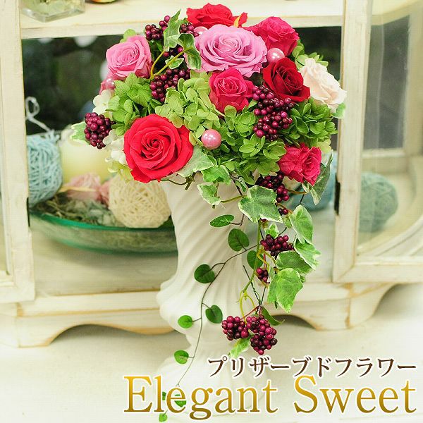 �v���U�[�u�h�t�����[ �G���K���g�X�E�B�[�g