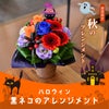 ハロウィン 黒猫のアレンジメント