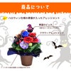 ハロウィン 黒猫のアレンジメント
