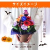 ハロウィン 黒猫のアレンジメント